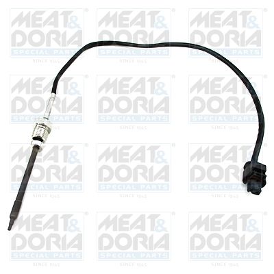 Sensor, exhaust gas temperature MEAT & DORIA 12103E
