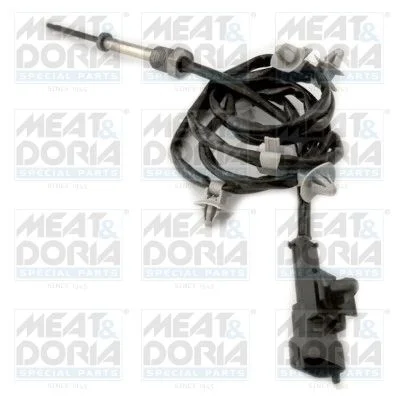 Jutiklis, išmetamųjų dujų temperatūra MEAT & DORIA 12350