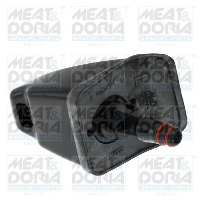 Plovimo skysčio purkštukas, priekinių žibintų plovimas MEAT & DORIA 209183