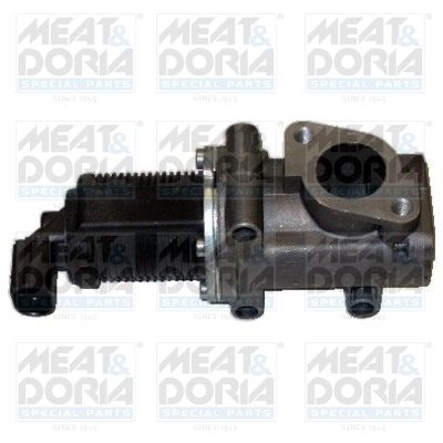 ERG vožtuvas MEAT & DORIA 88007R