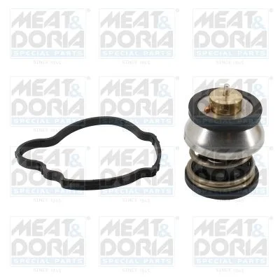 Termostatas, aušinimo skystis MEAT & DORIA 92972
