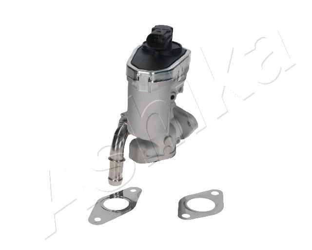 EGR Valve ASHIKA 150-00-0313