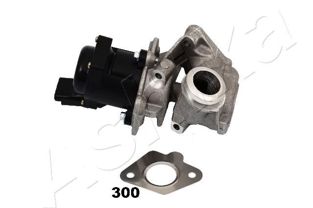 EGR Valve ASHIKA 150-03-300