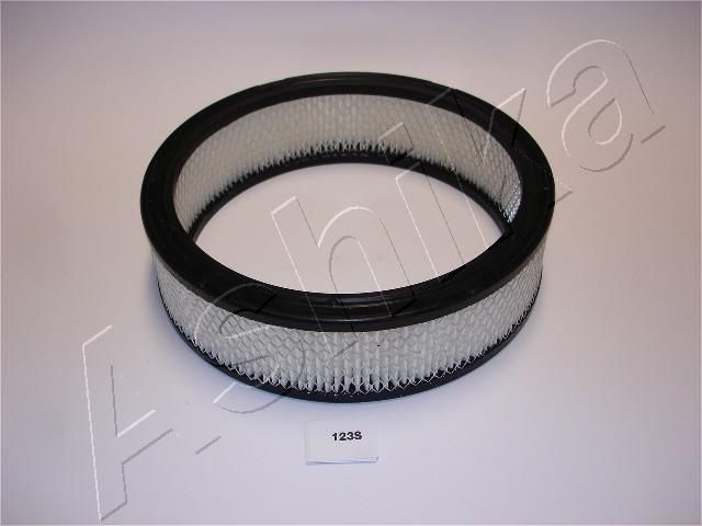 Air Filter ASHIKA 20-01-123