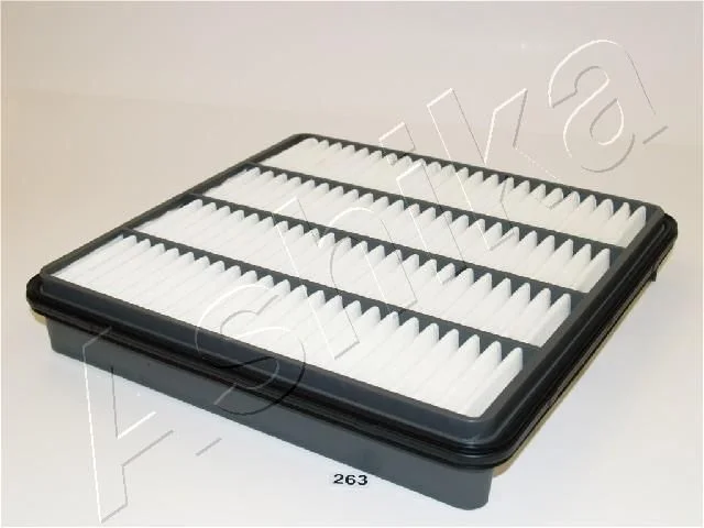 Oro filtras ASHIKA 20-02-263