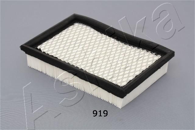 Air Filter ASHIKA 20-09-919