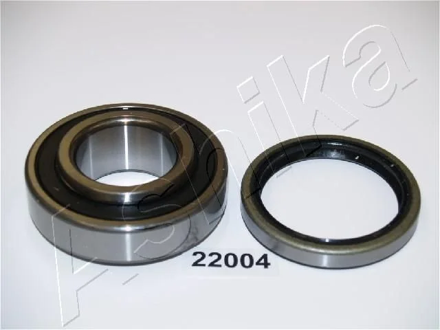 Rato guolio komplektas ASHIKA 44-22004