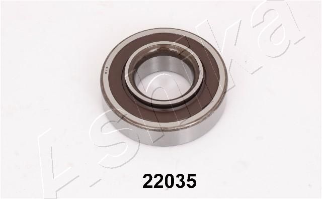 Wheel Bearing Kit ASHIKA 44-22035