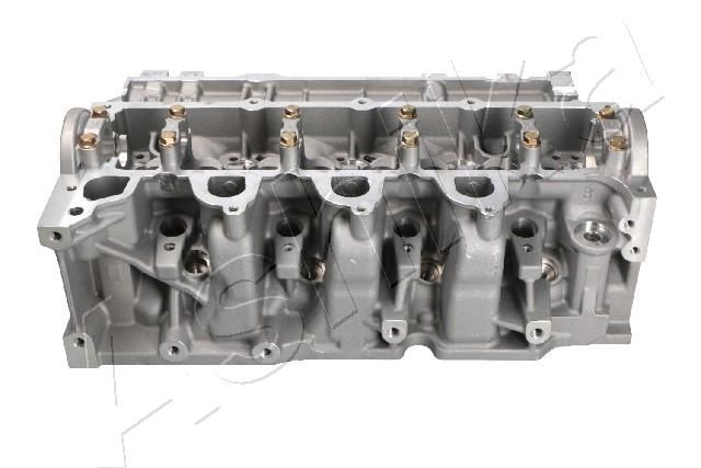 Cylinder Head ASHIKA NS035S