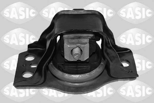 Variklio montavimas sasic 2704095