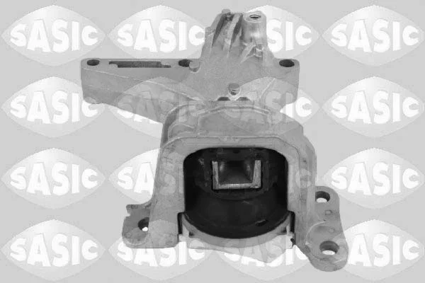 Variklio montavimas SASIC 2704099