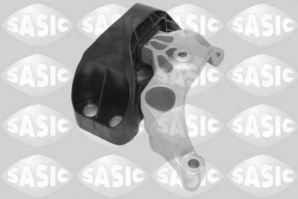 Variklio montavimas sasic 2704150