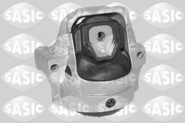 Variklio montavimas sasic 2706573