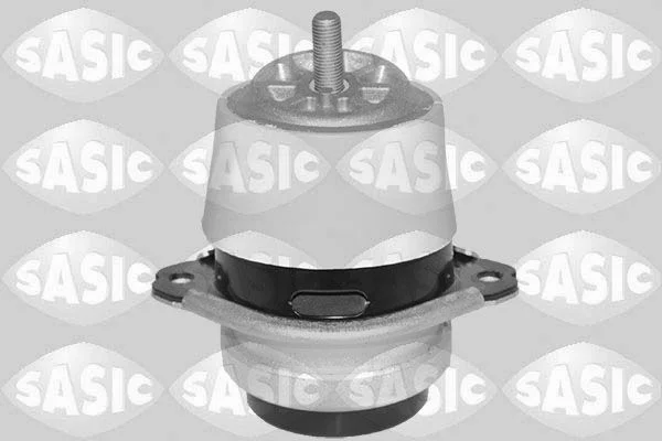 Variklio montavimas sasic 2706610