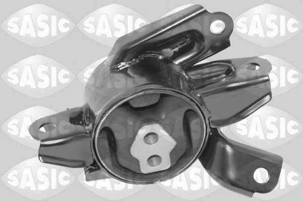 Variklio montavimas sasic 2706624