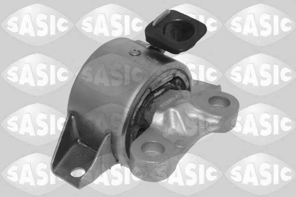 Variklio montavimas sasic 2706631