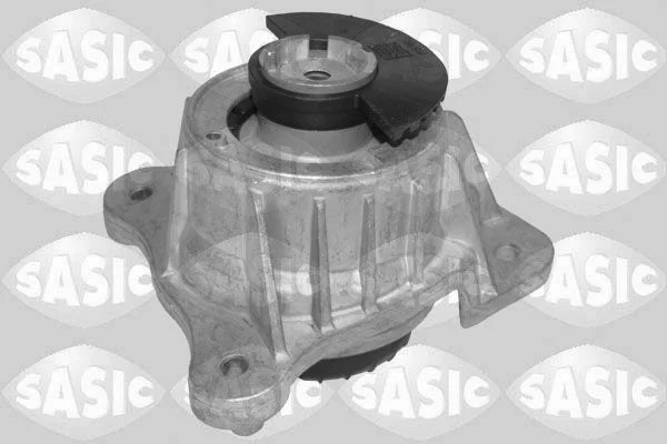 Variklio montavimas SASIC 2706640