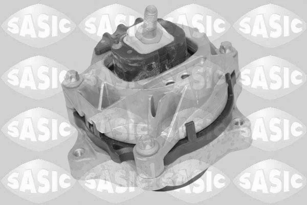 Variklio montavimas sasic 2706647