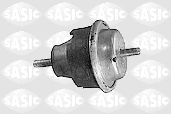 Variklio montavimas SASIC 8431921