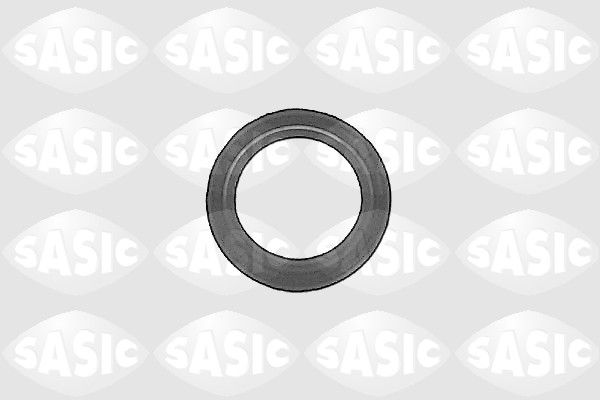 Shaft Seal, differential SASIC 1213093
