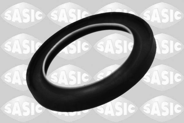 Shaft Seal, crankshaft SASIC 1950003