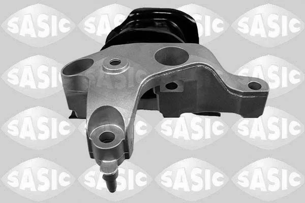 Variklio montavimas sasic 2704092
