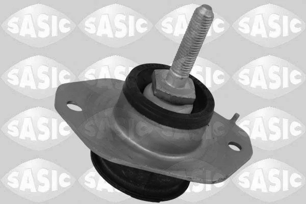 Variklio montavimas SASIC 2704118