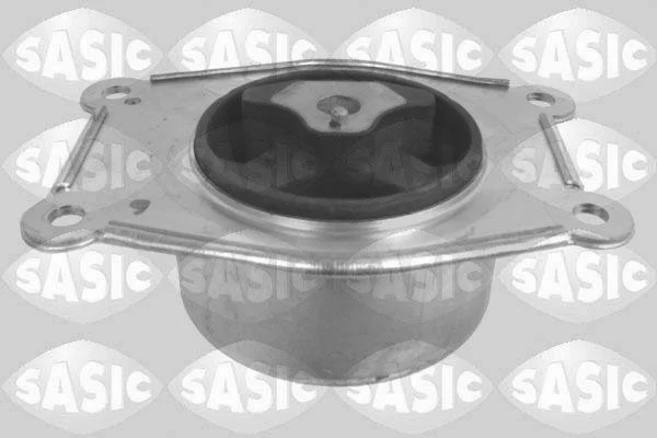 Variklio montavimas SASIC 2706043