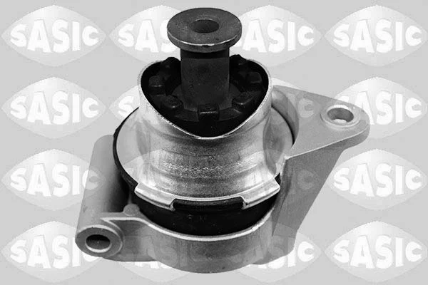 Variklio montavimas SASIC 2706343