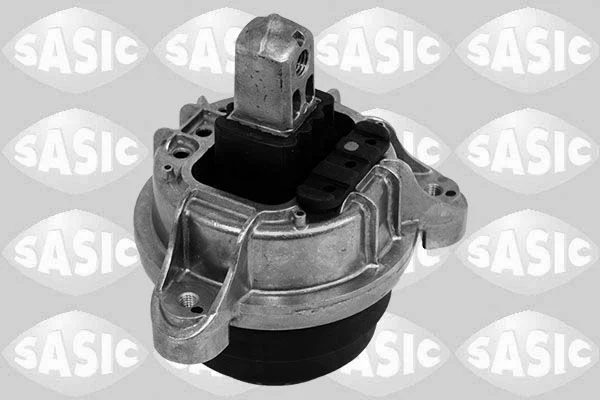 Variklio montavimas SASIC 2706493