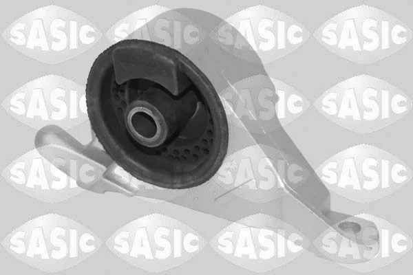 Variklio montavimas SASIC 2706535