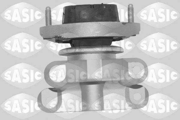 Variklio montavimas SASIC 2706562