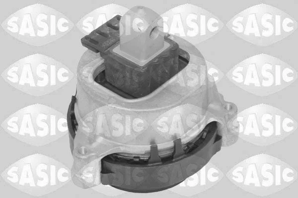 Variklio montavimas SASIC 2706617