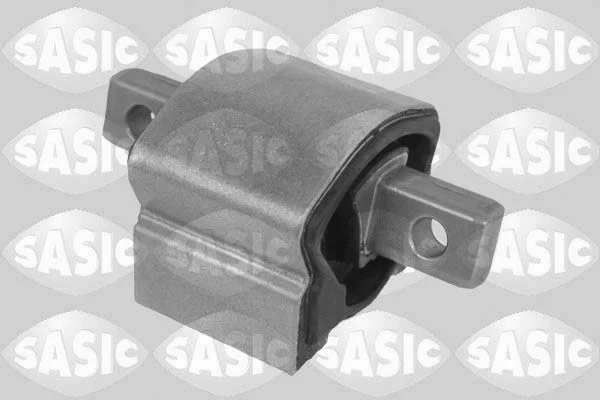 Variklio montavimas SASIC 2706762