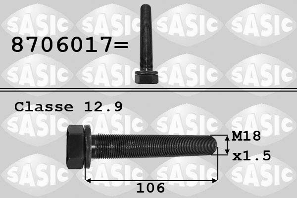 Pulley Bolt SASIC 8706017