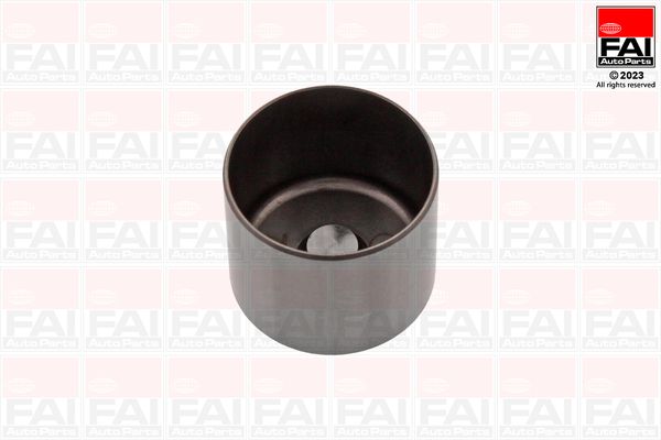 Lyftare FAI AutoParts BFS183S