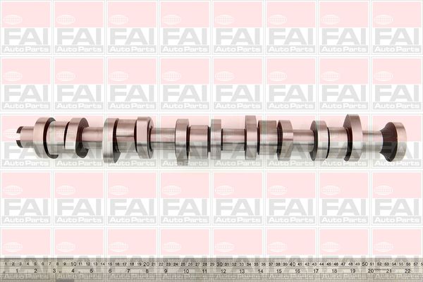 Camshaft FAI AutoParts C316