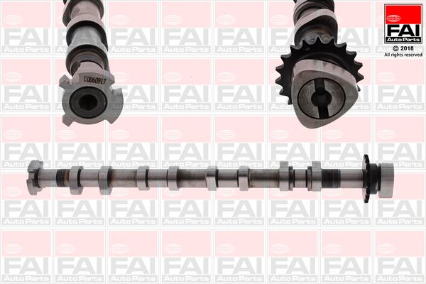 Camshaft FAI AutoParts C379