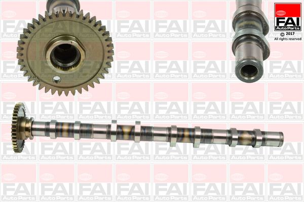 Camshaft FAI AutoParts C382