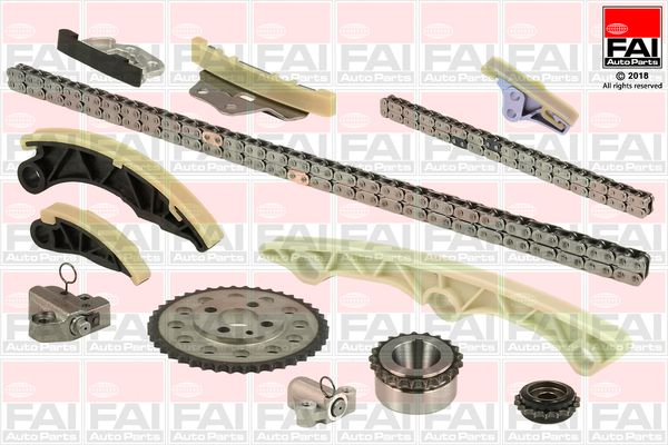 Комплект ланцюгів привода FAI AutoParts TCK246NG