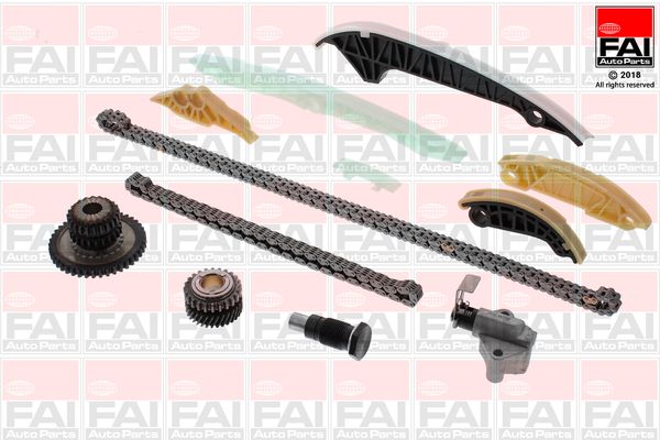 Комплект ланцюгів привода FAI AutoParts TCK306NG