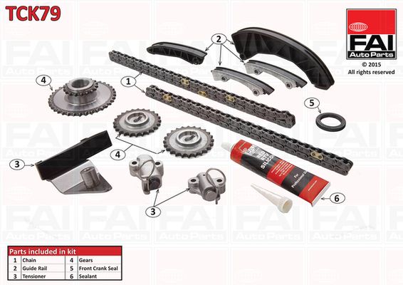 Комплект ланцюгів привода FAI AutoParts TCK79