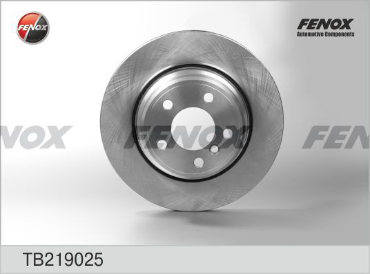 Stabdžių diskas FENOX TB219025
