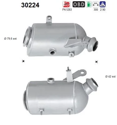 Katalizatoriaus keitiklis AS 30224