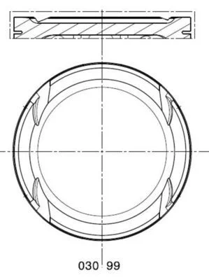 Поршень MAHLE 0309900