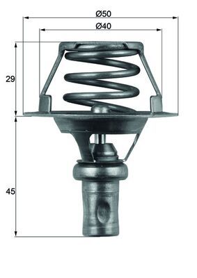 Termostatas, aušinimo skystis MAHLE TX 66 91D