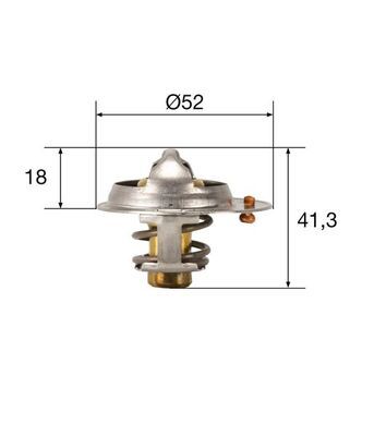 Termostatas, aušinimo skystis MAHLE TX8582