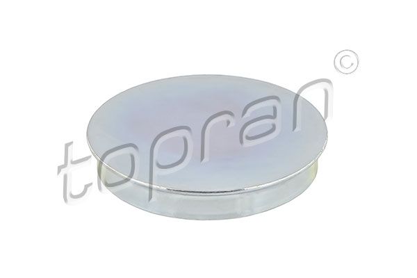 Protection Lid, wheel hub TOPRAN 111 316