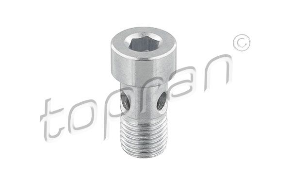 Banjo Bolt, charger TOPRAN 118 522