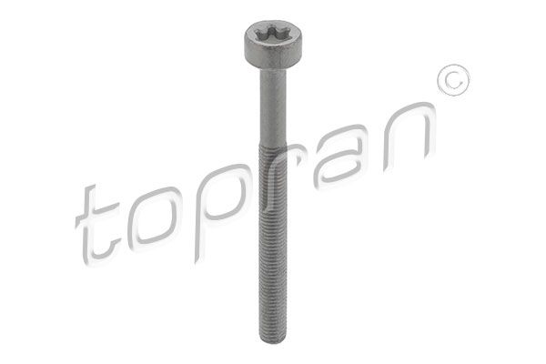 Гвинт, тримач інжекторної форсунки TOPRAN 410 287